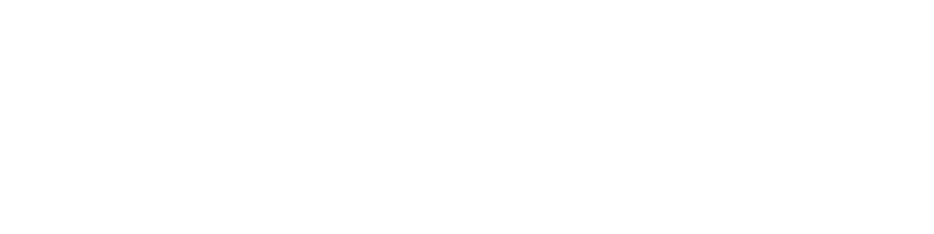 logo-transnoita-blanco