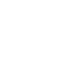 logo-tn blanco